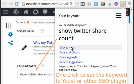 Paste to Yoast in 1 click
