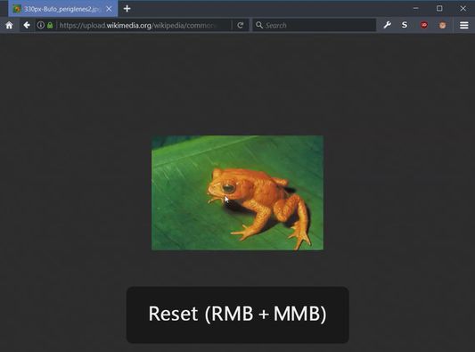 Reset the image to its original size by pressing the right mouse button + middle mouse button