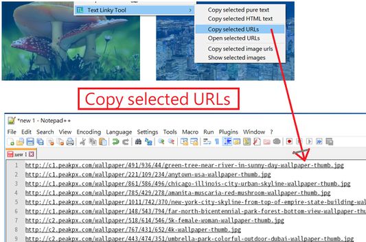 Copy selected URLs.