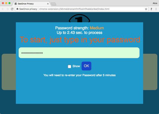 To start, just type in your Password. SeeOnce will help you to come up with a good one, but it can be anything.