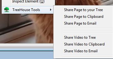 Context menu for sharing page or video to your tree, email or clipboard.