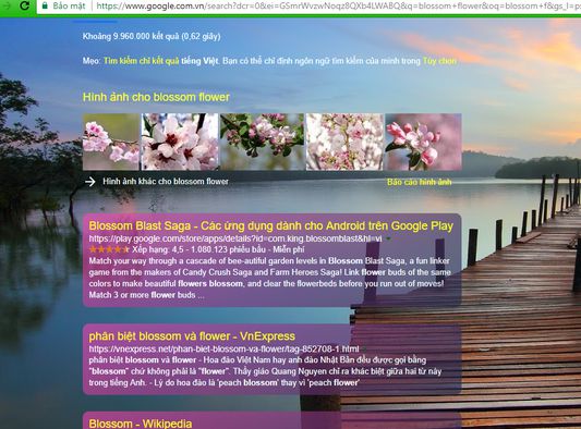 linear gradient google search