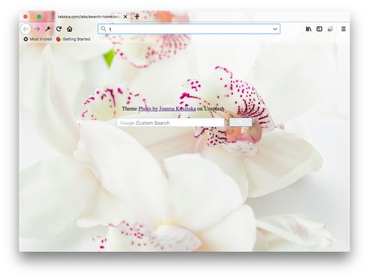 New tab (CTRL+T or Command +T in Mac) opens a new tab, the custom search engine opens the full image used in the theme, plus references to the artist.