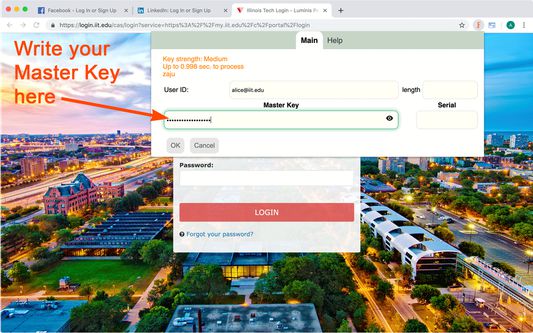 If the current page contains a password input, FusionKey will show instead this dialog. Just write you Master Key if it's not filled already.