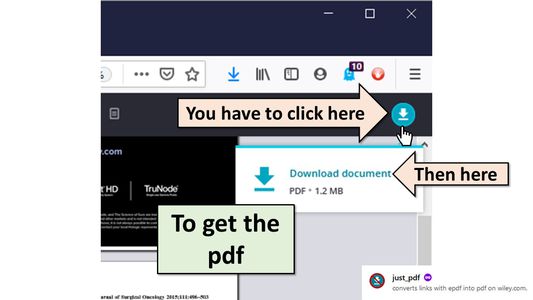 You have to click twice more before you get the actual pdf