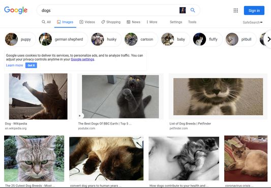 This is how most webpages will look