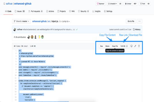 Github File View | Copy and download