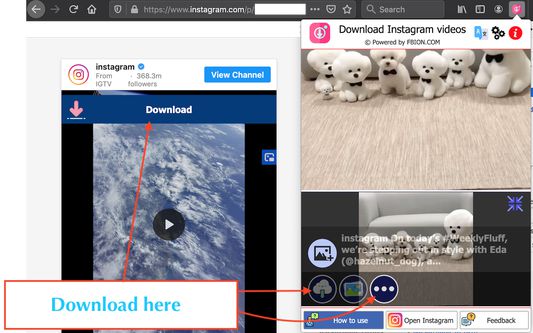 Instagram video downloader