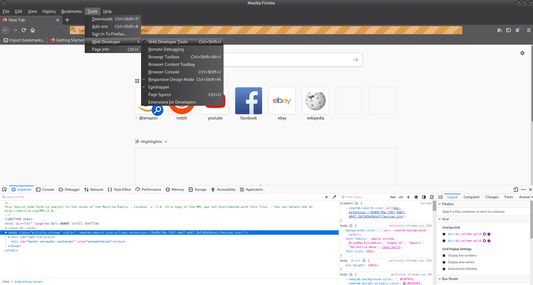 Web Developer Tools opened