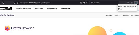 Displaying an IPv4 address for current website.