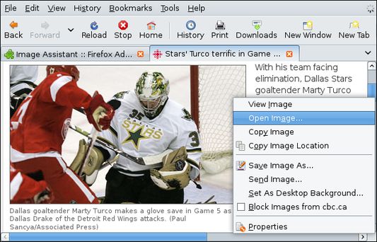 Pre-v0.2.9 UI: Image context menu item.