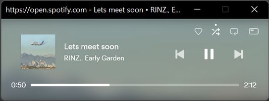 The mini player popup window