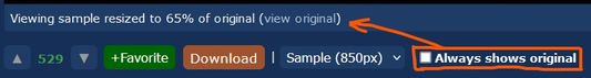 Checkbox to always shows original image
