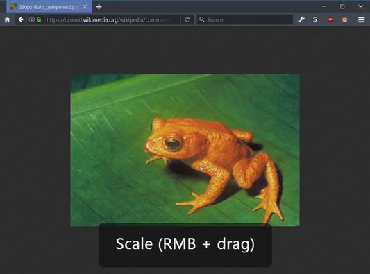 Scale the image by holding down the right mouse button and dragging