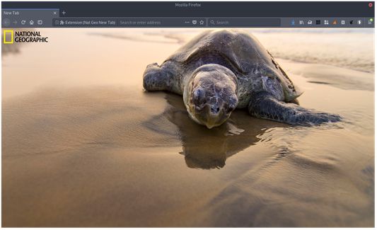 Shows beautiful photos when you open a new tab. A new one every day!