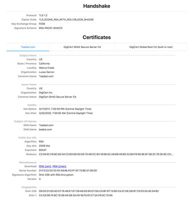 Basic certificate and handshake information.