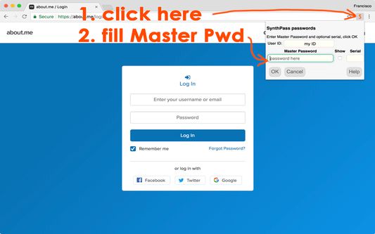 To synthesize a password, click the SynthPass icon when the login page appears.

Then write your Master Password in its box, plus the optional serial, if any, and user ID. The latter two will be already populated if you have used SynthPass on this site before.