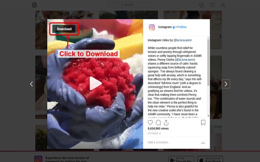 Instagram Video Downloader