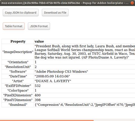 View the image data in table format