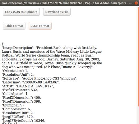 View the image data in json format