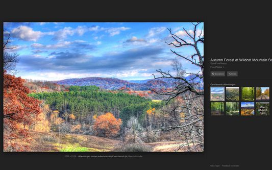 A forest in autumn as perceived by someone with normal vision