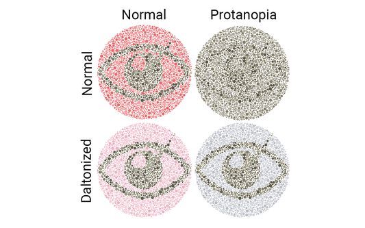 Daltonize Images for better perception if you have a color deficiency, or simulate what daltonizing does for someone how has a color deficiency