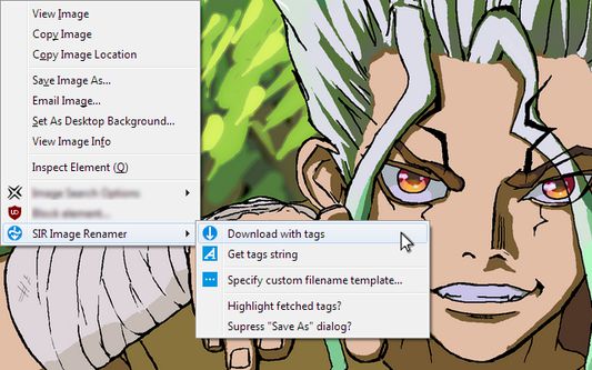 Context menu with the main functionality