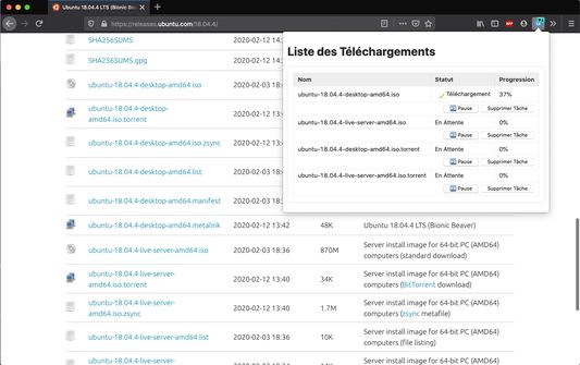 Visualiser l'avancement des téléchargements et gérer leur état en mettant en pause ou supprimant.