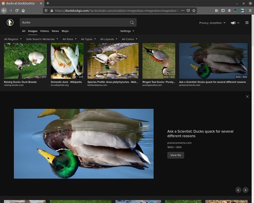 Upside down ducks in duckduckgo search