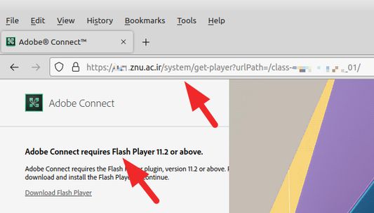 before using this addons (need to install adobe flash or manual resolve address)