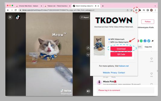 video downloader for tiktok