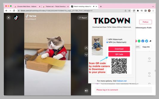 video downloader for tiktok