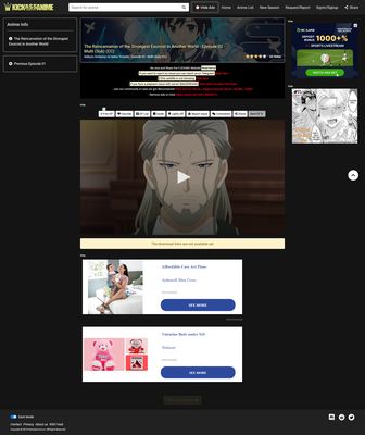 Without extension (no adblock active)