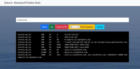 Basic DNS Record Checker