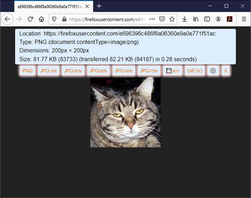 Image Info and button bar displays automatically when images are loaded