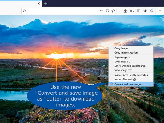Use your right mouse button on any image to open the context menu. Than click on
